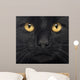Close-up Black Cat