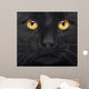 Close-up Black Cat