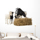 Cow and Two Goats Eating Hay Wall Decal