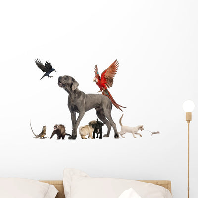 Group of Domesticated Animals Wall Decal shown on a wall