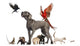 Group of Domesticated Animals Wall Decal