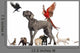 Group of Pets Wall Decal