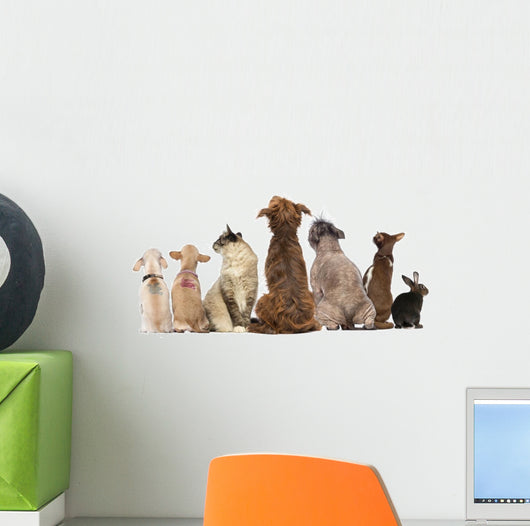 Group Pets Sitting Wall Decal