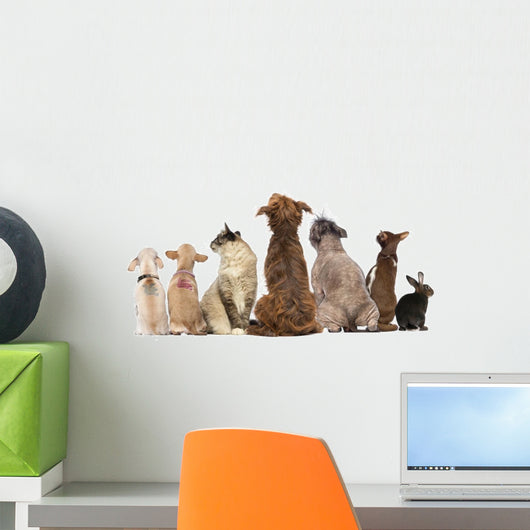 Group Pets Sitting Wall Decal