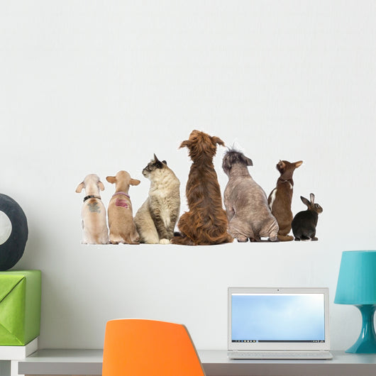 Group Pets Sitting Wall Decal