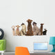 Group Pets Sitting Wall Decal