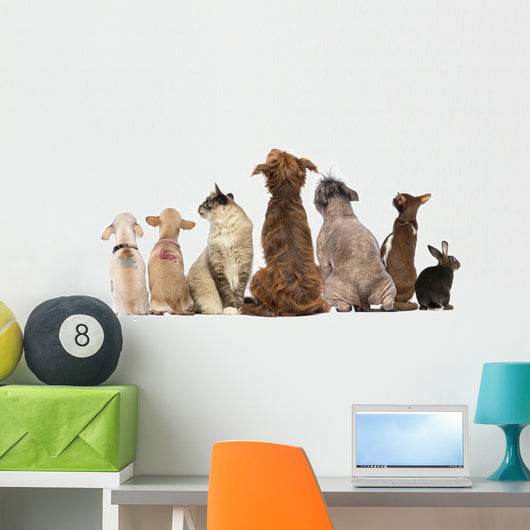 Group Pets Sitting Wall Decal