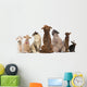 Group Pets Sitting Wall Decal