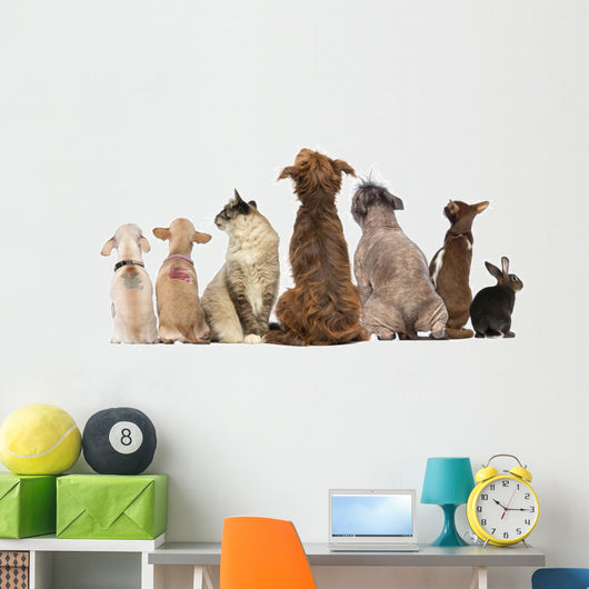 Group Pets Sitting Wall Decal