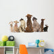 Group Pets Sitting Wall Decal