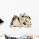 Australian Shepherd Puppies Wall Decal