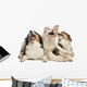 Australian Shepherd Puppies Wall Decal