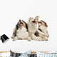 Australian Shepherd Puppies Wall Decal