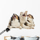 Australian Shepherd Puppies Wall Decal