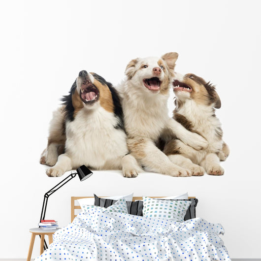 Australian Shepherd Puppies Wall Decal