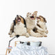 Australian Shepherd Puppies Wall Decal