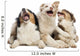 Australian Shepherd Puppies Wall Decal