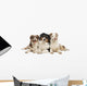 Group Australian Shepherd Lying Wall Decal