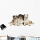 Group Australian Shepherd Lying Wall Decal