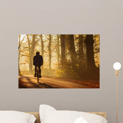 Silhouette Biker Fall shown on a wall