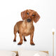 Brown Dachshund Wall Decal