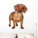 Brown Dachshund Wall Decal