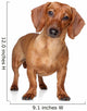 Brown Dachshund Wall Decal