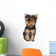 Yorkshire Terrier Puppy Yorkie Wall Decal