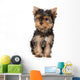 Yorkshire Terrier Puppy Yorkie Wall Decal
