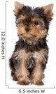 Yorkshire Terrier Puppy Yorkie Wall Decal