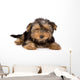 Yorkshire Terrier Puppy Yorkie Wall Decal