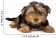 Yorkshire Terrier Puppy Yorkie Wall Decal