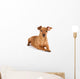 Brown pinscher dog Wall Decal