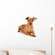 Brown pinscher dog Wall Decal