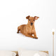 Brown pinscher dog Wall Decal