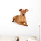 Brown pinscher dog Wall Decal