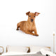Brown pinscher dog Wall Decal