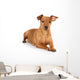Brown pinscher dog Wall Decal