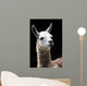 Portrait of a Llama Wall Mural