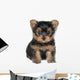 Yorkshire Terrier Wall Decal
