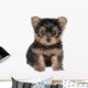 Yorkshire Terrier Wall Decal
