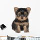 Yorkshire Terrier Wall Decal