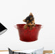 Yorkshire Terrier Wall Decal