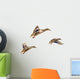 Wild Ducks