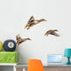 Wild Ducks