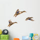 Wild Ducks