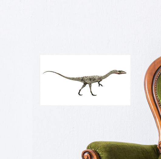 Dinosaurier Coelophysis