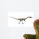Dinosaurier Coelophysis