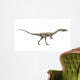 Dinosaurier Coelophysis