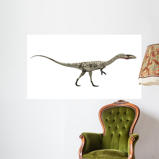 Dinosaurier Coelophysis